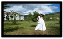 32inch MediaScreen with Multi Features Board