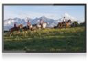 55inch Android Display - Non Touch