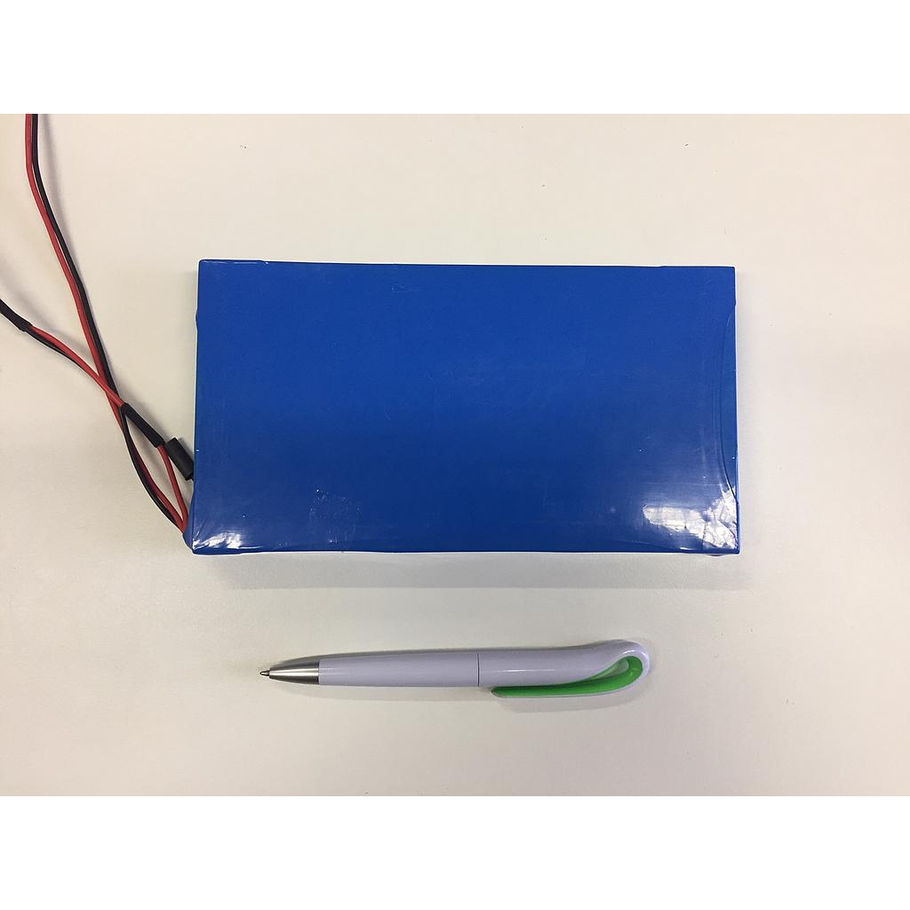 Rechargeable Lithium External BatteryPack 12AH