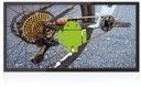 43inch Android Display - Non Touch